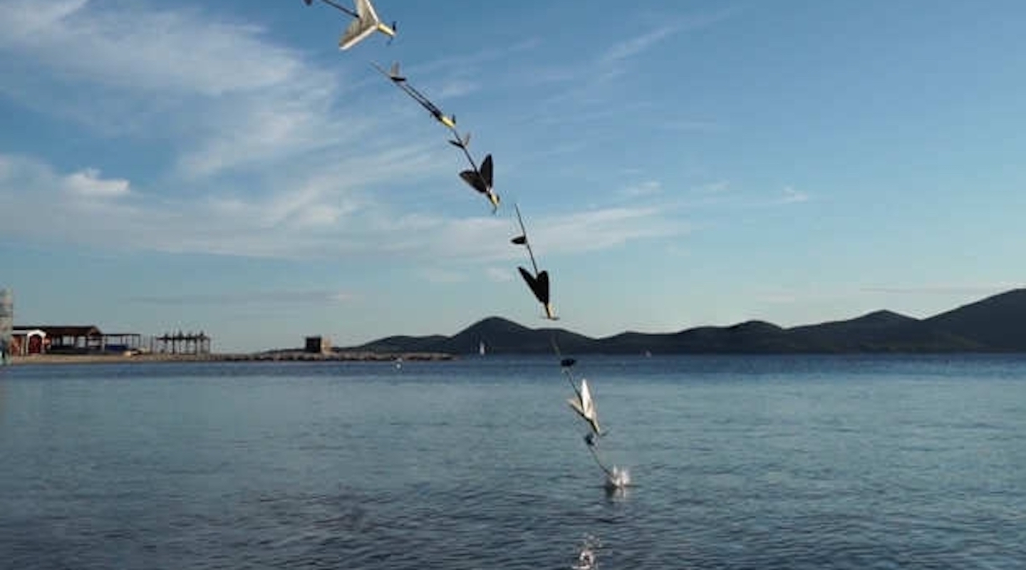 Bio-Inspired Aerial Robotics - Imperial Consultants